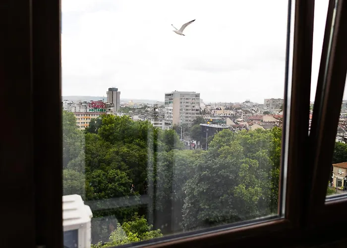 The View * ヴァルナ